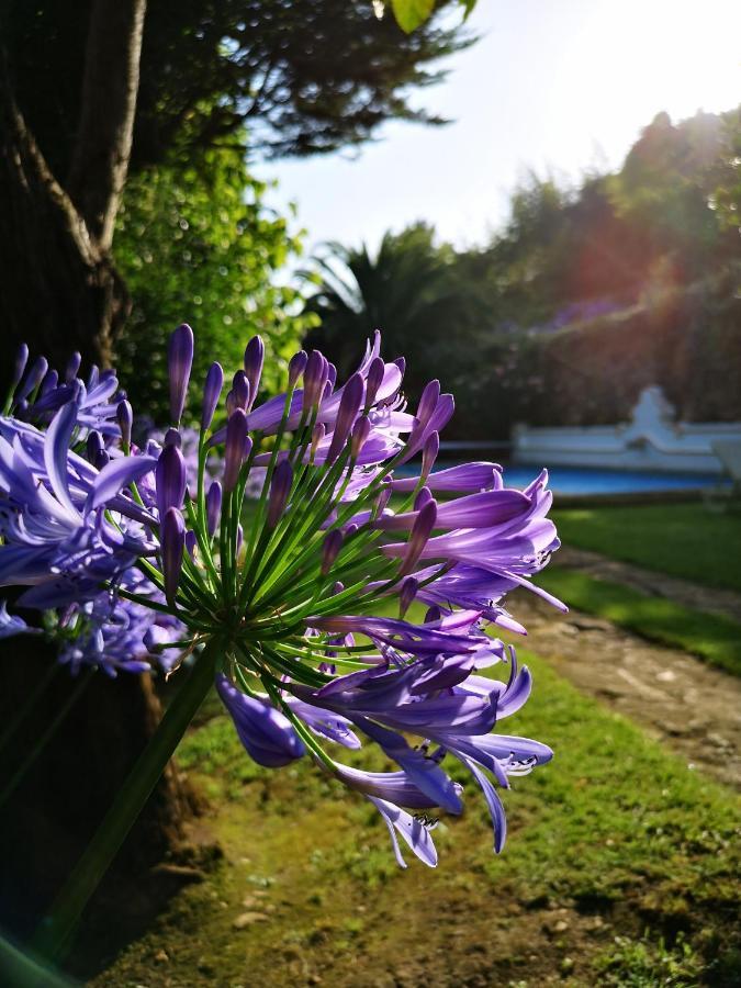 Azoia Quinta Do Rio Touro住宿加早餐旅馆 外观 照片