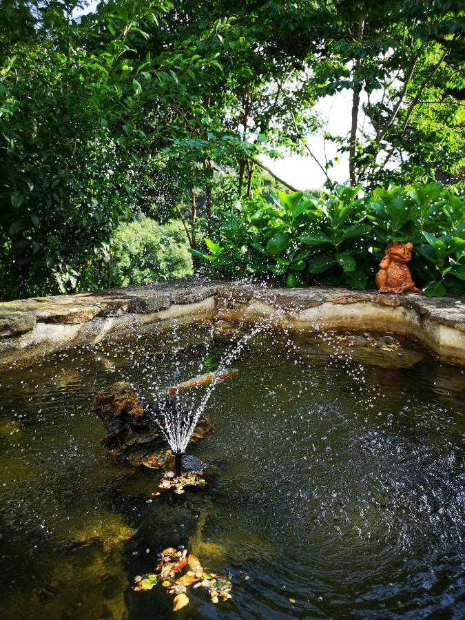 Azoia Quinta Do Rio Touro住宿加早餐旅馆 外观 照片