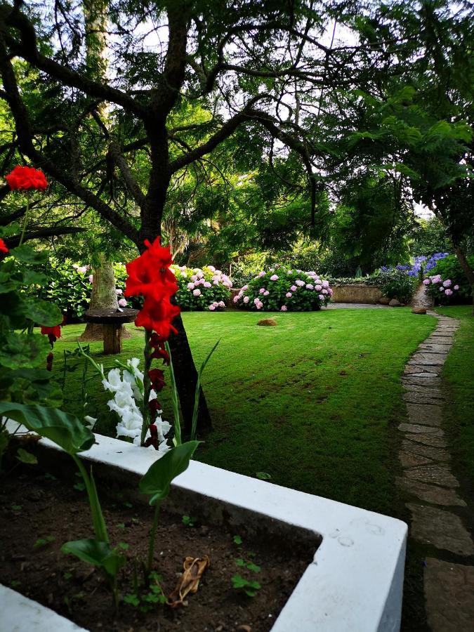 Azoia Quinta Do Rio Touro住宿加早餐旅馆 外观 照片